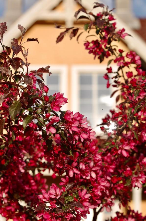 Hidingsta Gard B&B Эребру Экстерьер фото